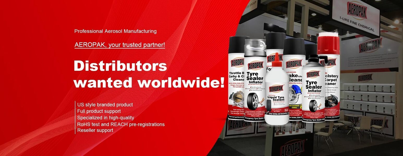 CHINA el mejor Pintura de espray de aerosol en ventas